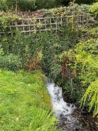 Glengyron Garden