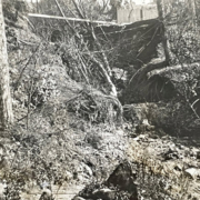 In Stroove's garden looking up to the collapsed Eglinton Terrace. Source: Largs Museum.